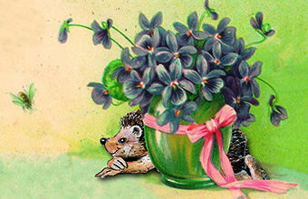 SWR-Aktuell „Ein besonderes Geschenk“ SWR-Aktuell „Ein besonderes Geschenk“